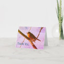 Search for redbreast cards Wildlife
