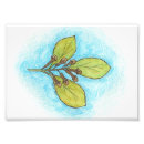 Search for herb illustration posters Plant