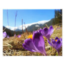 Search for spring photos posters Mountains