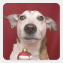 Search for dog decor stickers Canine