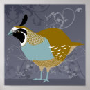 Search for quail posters Animals