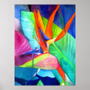 Search for bird of paradise art posters Flower