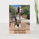 Search for january birthday cards Born in january