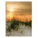 Search for writing photography Beach