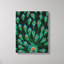 Search for peacock feather canvas prints Bird