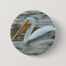 Search for pelican badges Nature