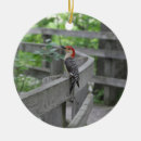Search for belly christmas tree decorations Nature