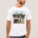 Search for whitetail tshirts Outdoor