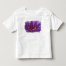Search for bangkok tshirts Nature