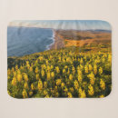 Search for point blankets Chuck haney