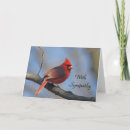 Search for cardinal sympathy cards Red