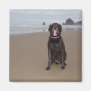 Search for dog breed magnets Horizontal