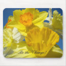 Search for for change electronics Floral