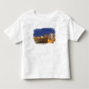 Search for loop clothing Midwest