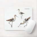 Search for wade mousepads Wading birds