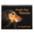 Search for dachshund calendars Animal
