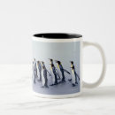 Search for king penguin mugs Wildlife