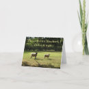 Search for shepherds photography Animals