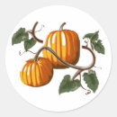 Search for producers stickers Pumpkins