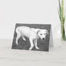 Search for lab” cards Dogs