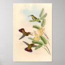 Search for vintage bird art Blue