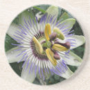 Search for passion coasters Flowers