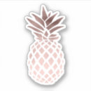 Search for fresh pineapple stickers Summer