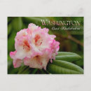 Search for washington postcards Coast