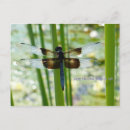 Search for pond photography Blue