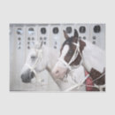 Search for horse tissue paper White