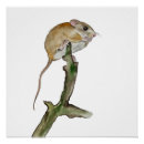 Search for mouse tree posters Watercolor