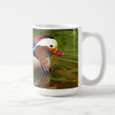 Search for mandarin duck mugs Wildlife