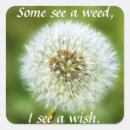 Search for weeds stickers Dandelion