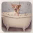 Search for bathroom barware Dog