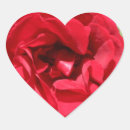 Search for hybrid stickers Rose