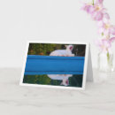 Search for reflective cards Cat