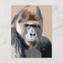 Search for mountain gorillas postcards Birthday