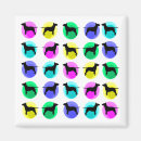 Search for bullies magnets Terrier