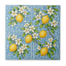 Search for french country tiles Citrus fruit