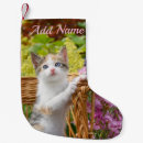 Search for kitten christmas stockings Funny