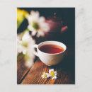 Search for daisies vertical postcards Bouquet