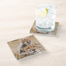 Search for cub coasters Kenya
