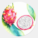 Search for dragon fruit stickers Tropical