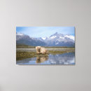 Search for ursus arctos posters Environment
