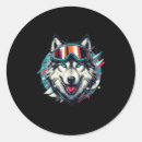 Search for skis stickers Skiing