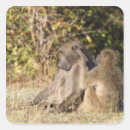 Search for kruger stickers Wildlife