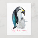 Search for emperor postcards Baby penguin