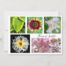 Search for dew invitations White