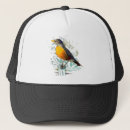 Search for robin hats Wildlife