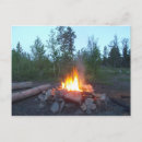 Search for firing postcards Wild